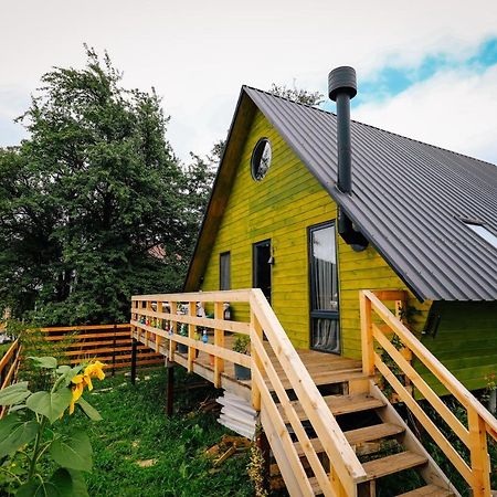 Wooden Cottage "Green House" In 巴库里阿尼 外观 照片