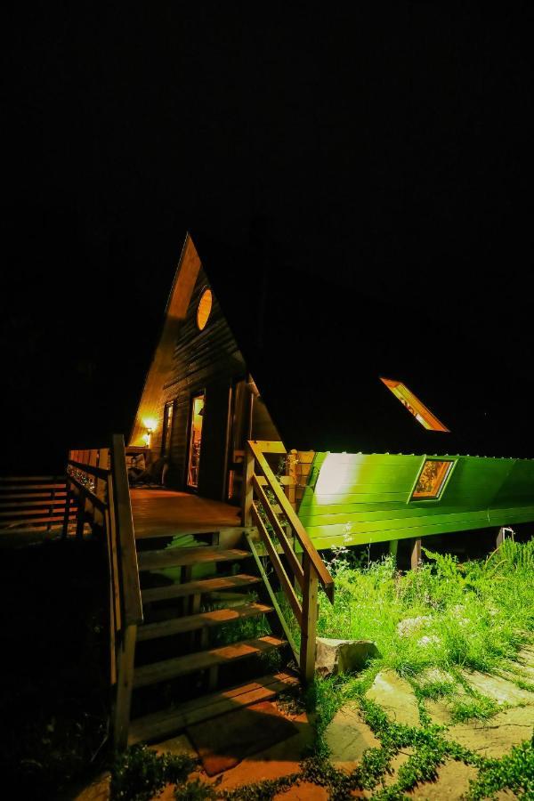 Wooden Cottage "Green House" In 巴库里阿尼 外观 照片