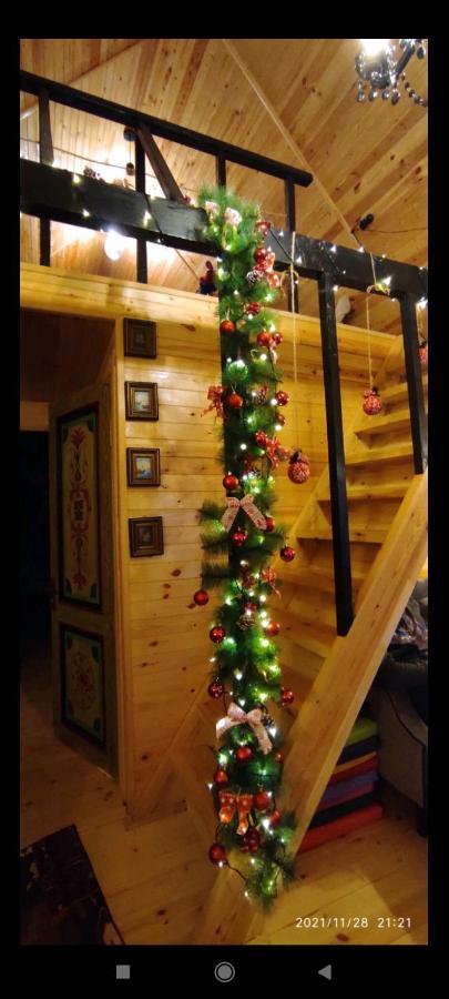 Wooden Cottage "Green House" In 巴库里阿尼 外观 照片